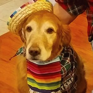 Meet your Posher, Jacquie